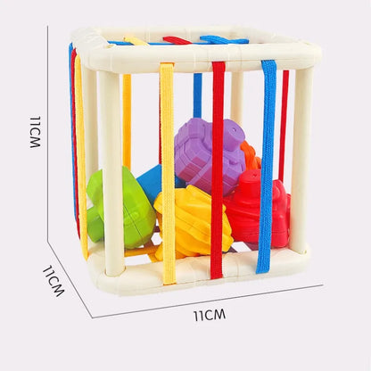 Educational Toy Classification Blocks